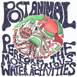 Perform the Most Curious Water Activities