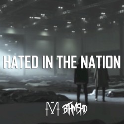 Hated in the Nation