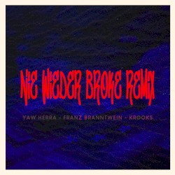 Nie wieder Broke (Remix)