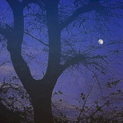 The Moon Is a Harsh Mistress