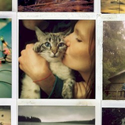 My Friends All Died in a Plane Crash