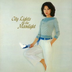 City Lights by the Moonlight