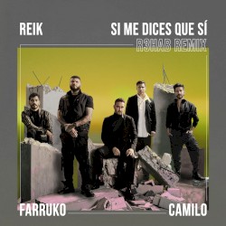 Si me dices que sí (R3HAB remix)