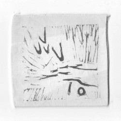 Orbital Surface of Orbital Plate