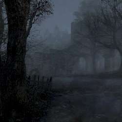 Haunted Forest