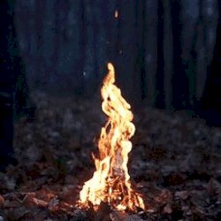 Idk whats happening, but at least i have ukulele