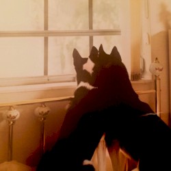 Say I Haven't Lost It All (Full Version)