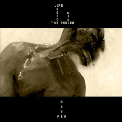 Life Inside the Feeder Mind