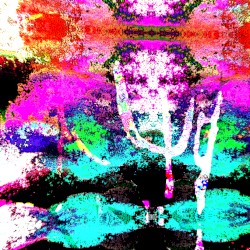 O Sappho, how canst thou chant the bliss of Kypris - after such day as this?