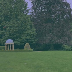 FOR THE HUMANS WHO TAKE LONG WALKS IN THE FOREST