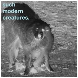 such modern creatures