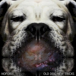 Old Dog New Tricks