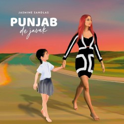 Punjab De Javak