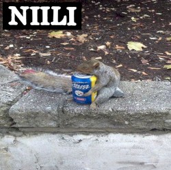 The Squirrel (2018)