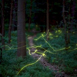 Chris Hontos and Zack Tornaben