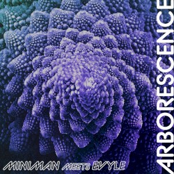 Arborescence