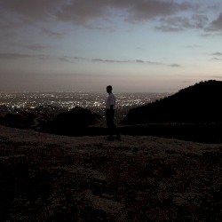 Don’t Be Afraid to Fly