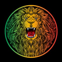 J.Robinson WhoDemSound Digital Collection Part 1