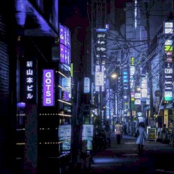 one night in tokyo