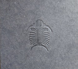 Blast Furnace Boxset