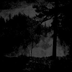 Charles Razeur / Eugene Critchley / Necrotik Fissure / Veil of Nature