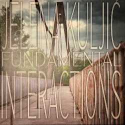 Fundamental Interactions