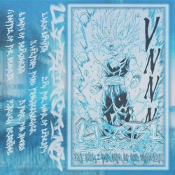 1st Form: The Fate of Our Universe