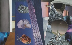 If We Were Landscapes