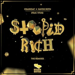Stoopid Rich: The Remixes