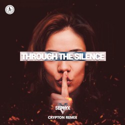 Through the Silence (Crypton remix)