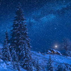 tell me your feelings and i won't tell you mine