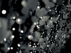 Lights