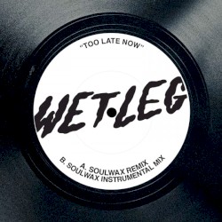 Too Late Now (Soulwax Remix)