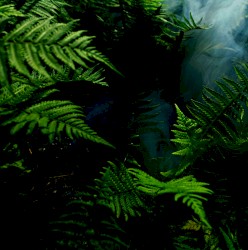 The Spirit Of God Is With Us