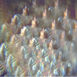 Into the Diamond Sun