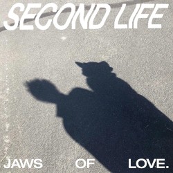 Second Life
