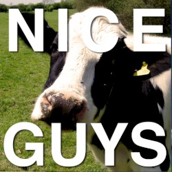 Nice Guys