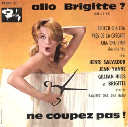 Allo Brigitte ? Ne coupez pas !