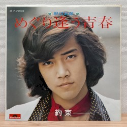 めぐり逢う青春