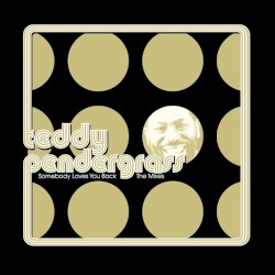 Somebody Loves You Back: The Mixes