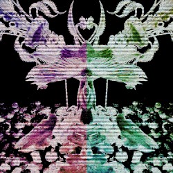 𝙋𝙖𝙡𝙡