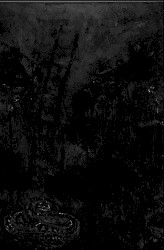 Mortifying the Flesh