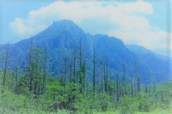 white cloud on the mountain