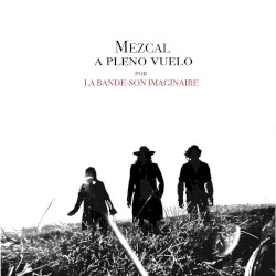 Mezcal a pleno vuelo