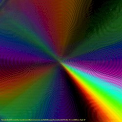 Not All of the Flowers Will Grow Again LP