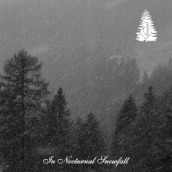 In Nocturnal Snowfall