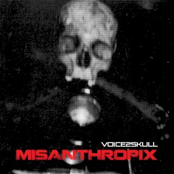 Voice2skull