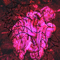 "Poop'ball$" Boxguts Mixtape #3