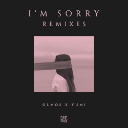 I’m Sorry (Remixes)