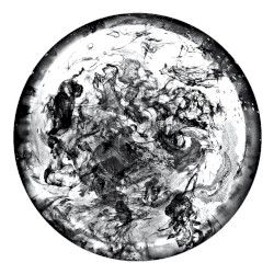 Miss Universe Is Giving Birth to Manmade Stupidity